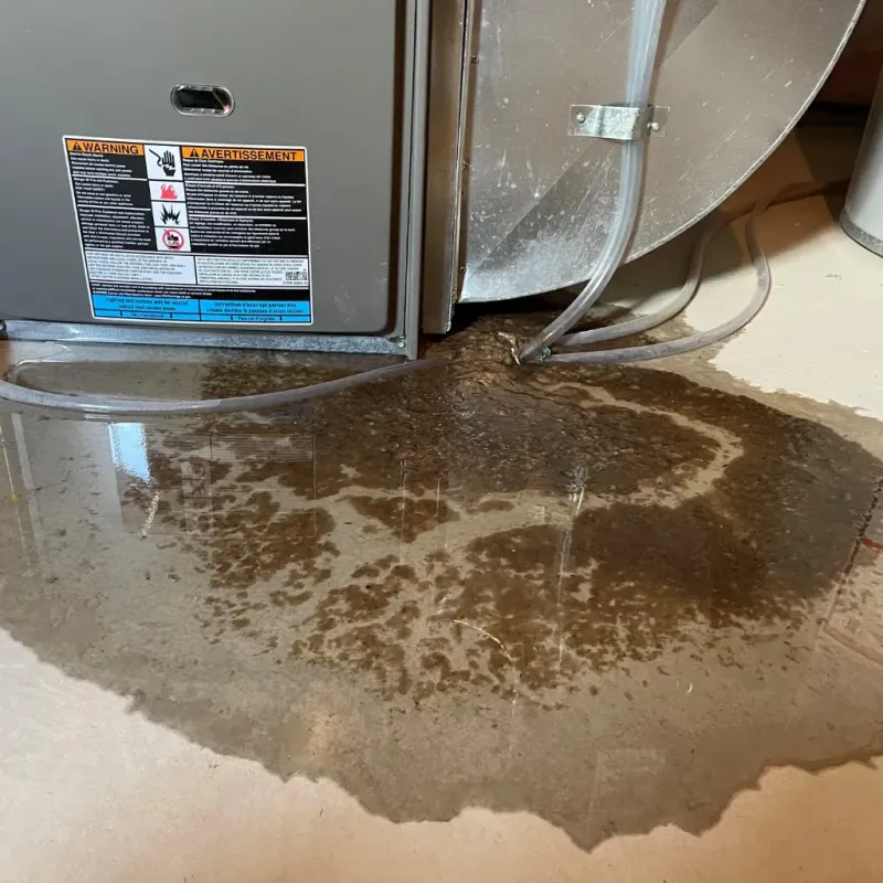 Appliance Leak Cleanup in Canutillo, TX