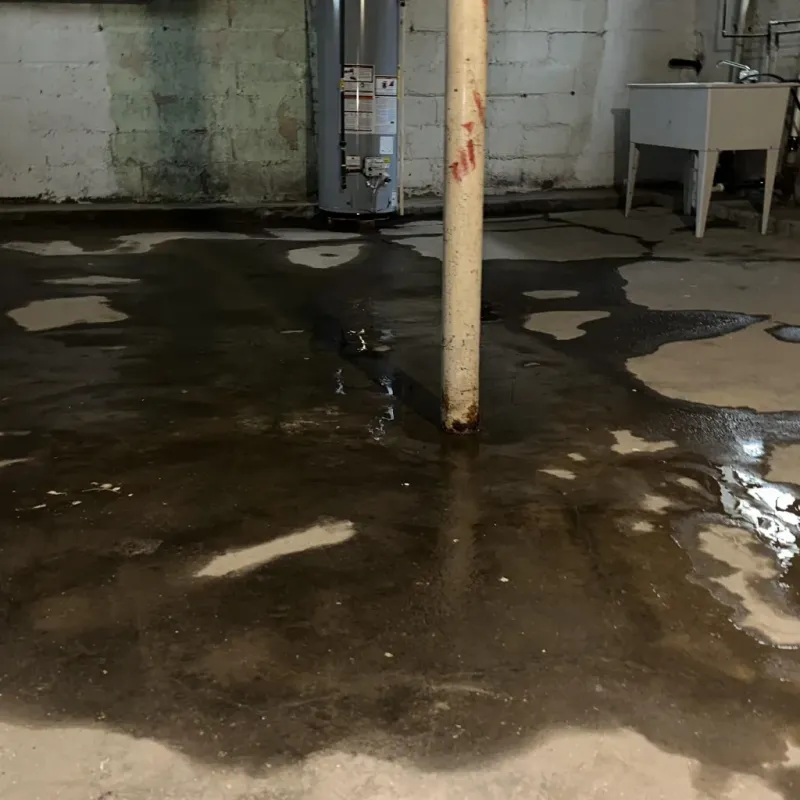 Emergency Water Extraction And Removal in Canutillo, TX